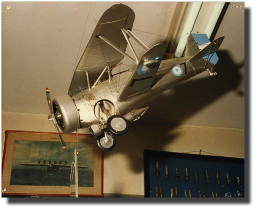 Curtiss Hawk III, export version of the BF2C-1 with some modifications. Scratch built by Guillermo Rojas Bazán. Approx. 1:12 scale.